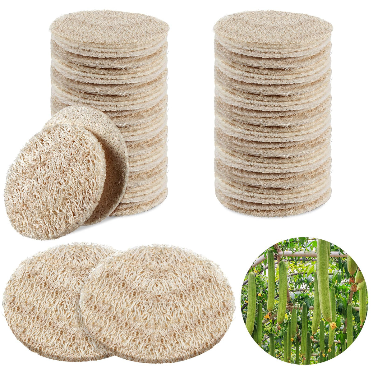 Bokon 100 Pcs Loofah Exfoliating Face Pads 2.36" Round, Beige